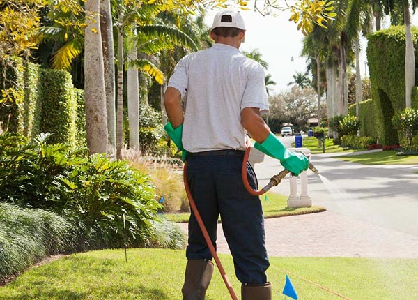 About Waite Park MN Pest Control Pros